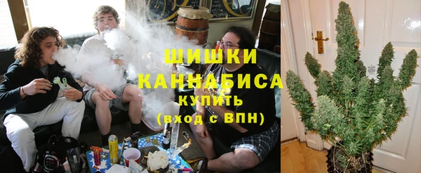 прущая мука Богданович