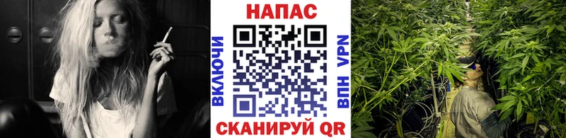 Бошки марихуана семена  Дно 